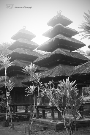 Road Trip in Bali Ⓒ Catherine Houston
